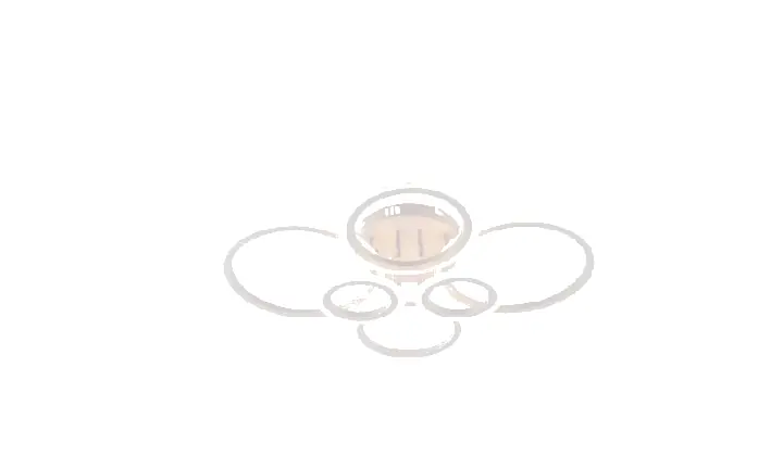 LI9875C-6 acrylic chandelier