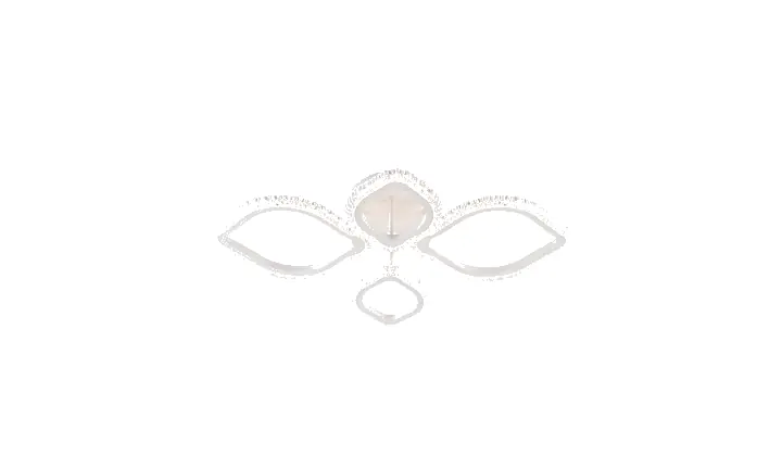 LI9865C-2+2 acrylic chandelier