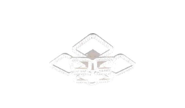 LI9848C-4+4A acrylic chandelier