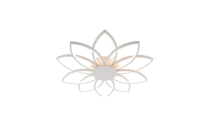 LI9877-10 acrylic chandelier