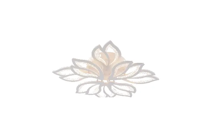 LI9890-4+4 acrylic chandelier