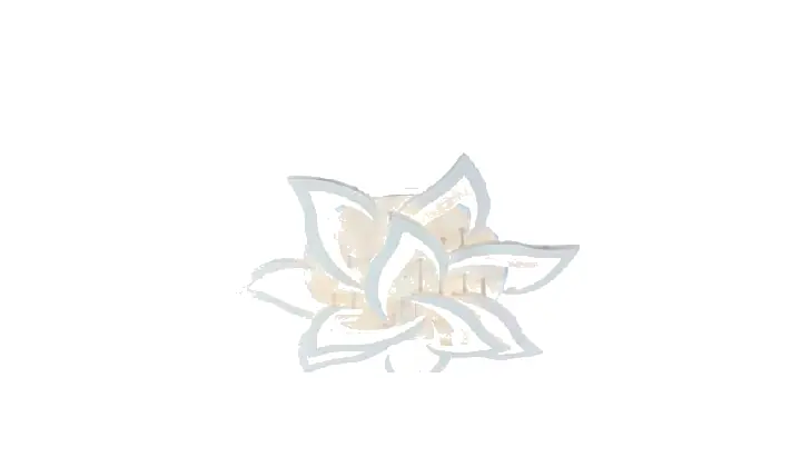LI9836-7+3A acrylic chandelier