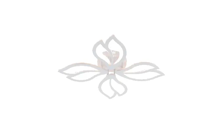 LI9836-4 acrylic chandelier