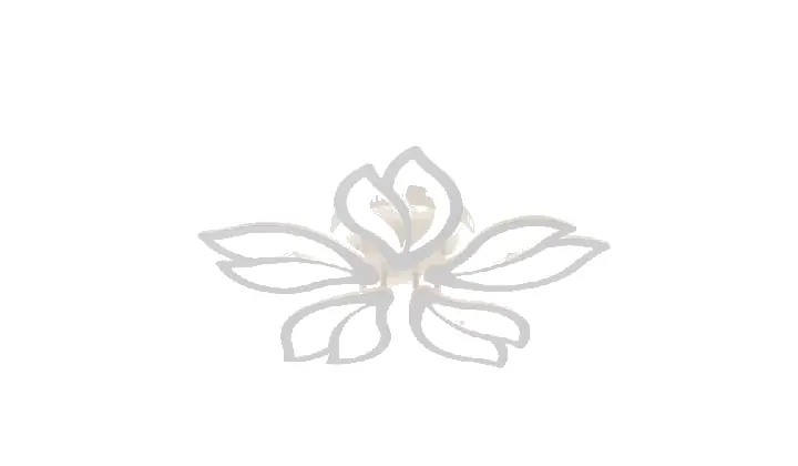 LI9836-5 acrylic chandelier