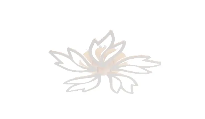 LI9862-5 acrylic chandelier