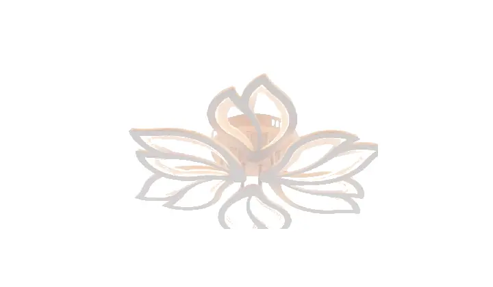 LI8876-3+3 acrylic chandelier