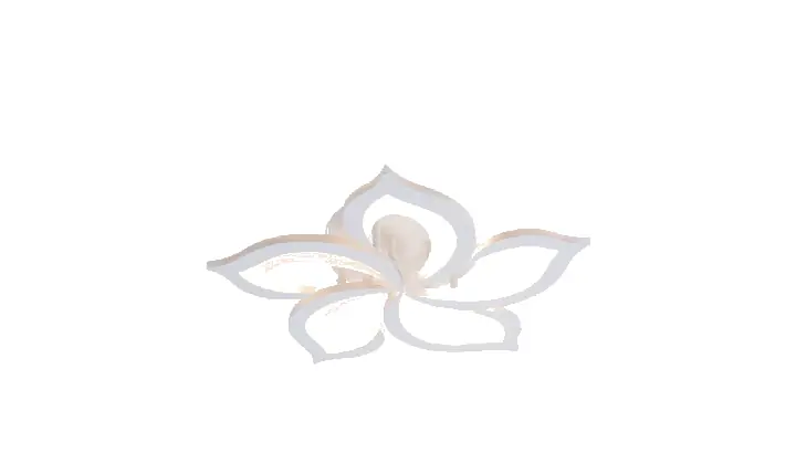 LI9922-5 acrylic chandelier