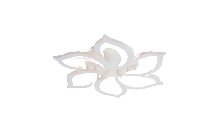 LI9922-6 acrylic chandelier