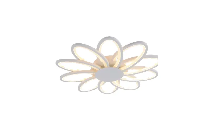 LI9925-10 acrylic chandelier