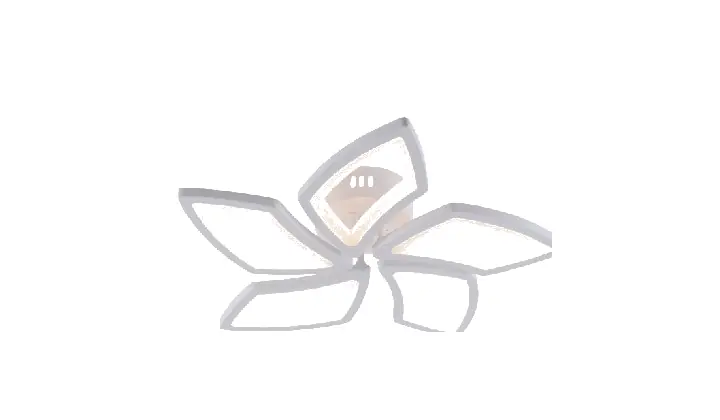 LI9905-5 acrylic chandelier