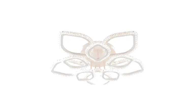 LI9865C-5+5A acrylic chandelier