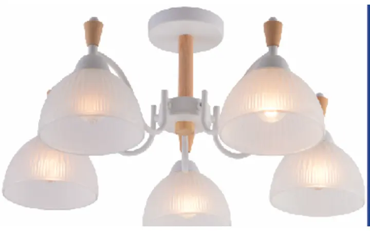 XA1627-5 chandelier lampshade