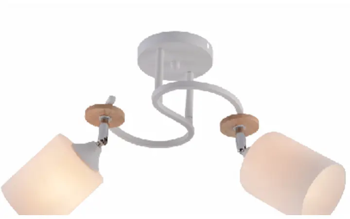 XA1634-2 chandelier lampshade