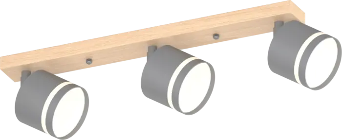 Decorative lighting model XI4504