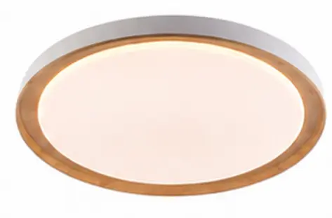 Ceiling Lamp series