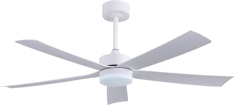 Fans Light