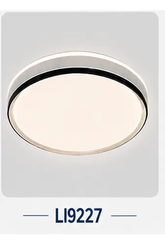 SOAI smart ceiling lamp catalogue model 119